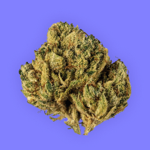 Bud